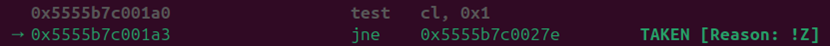 A conditional jump in GDB.
