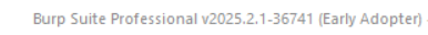 The Burp UI Title Pane